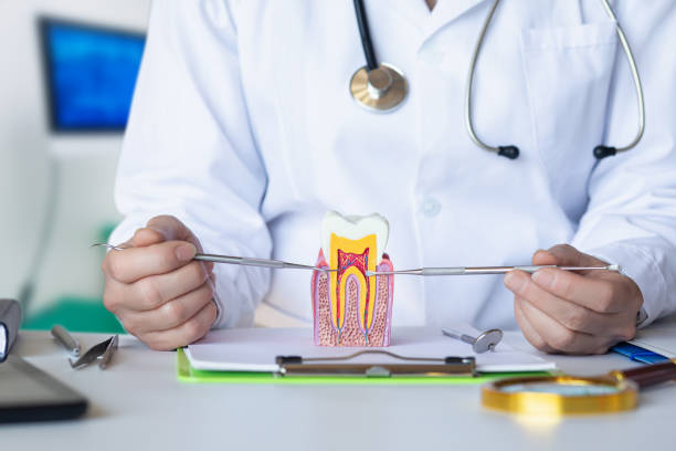 Best Emergency Tooth Extraction  in Harvey, IL